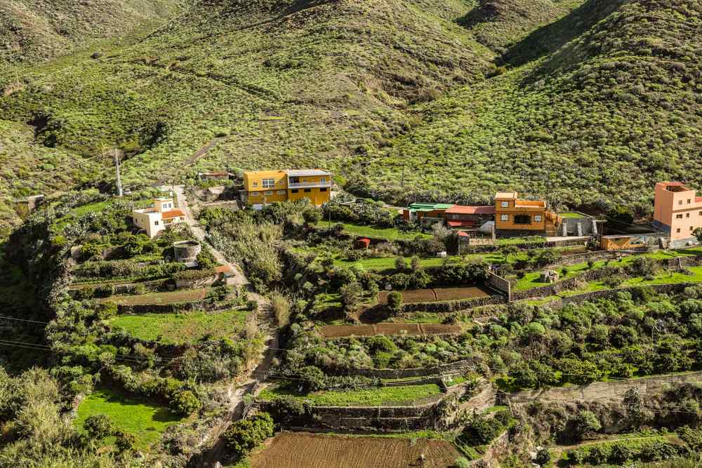 farming in Anaga Rural Park in Tenerife